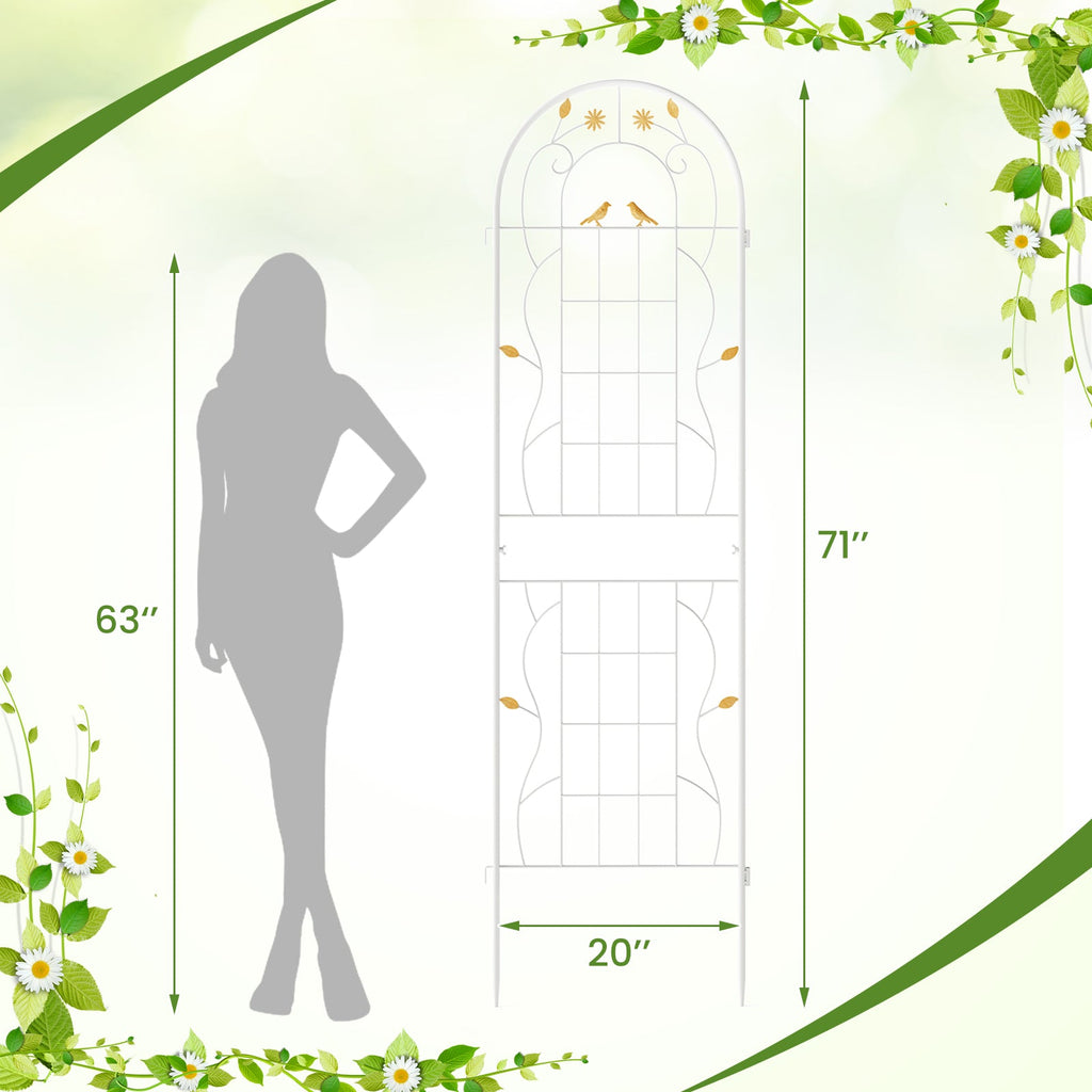 2 Pack 71 x 20 Inch Metal Garden Trellis Rustproof Plant Support for Climbing Plants