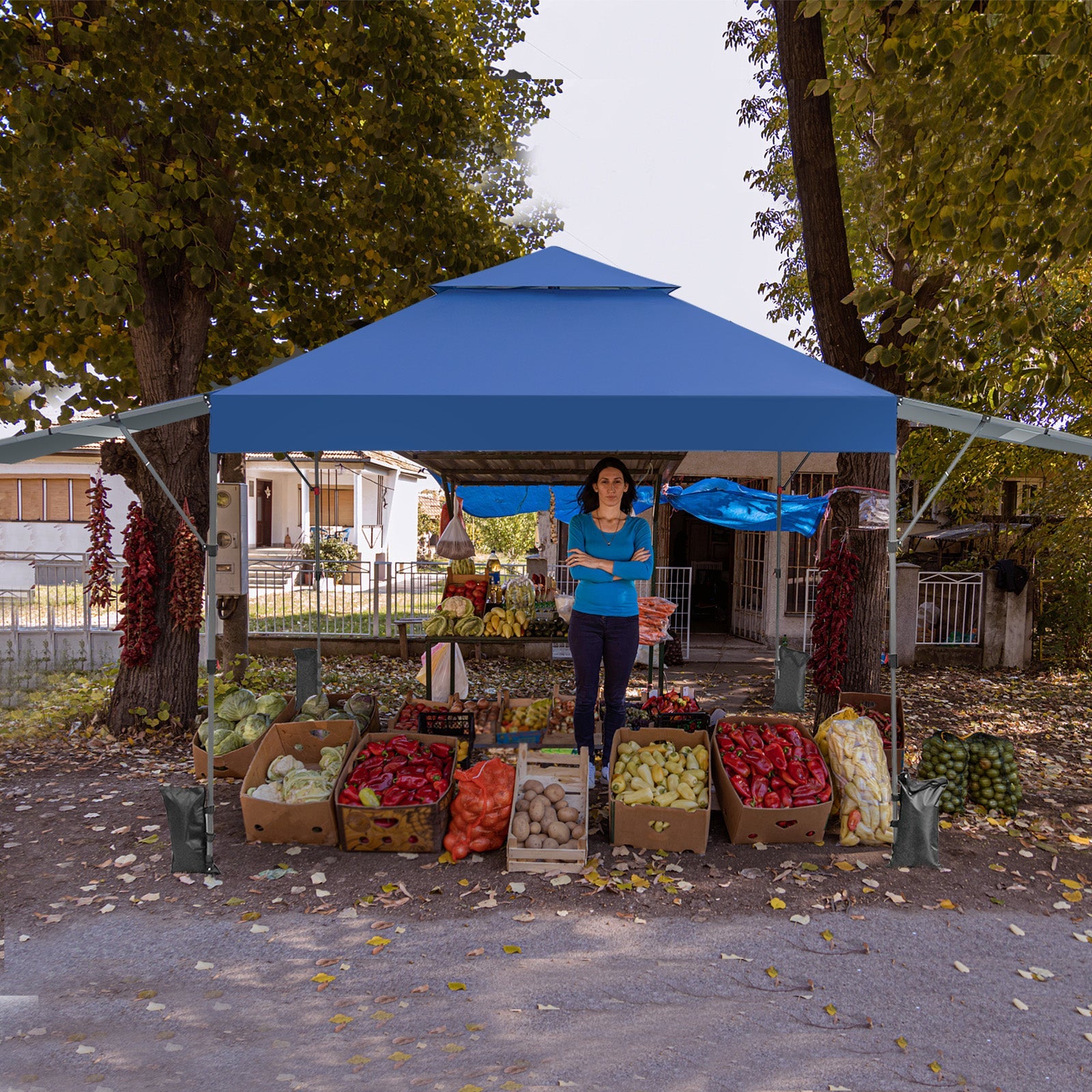 10 x 17.6 Feet Outdoor Instant Pop-up Canopy Tent with Dual Half Awnings