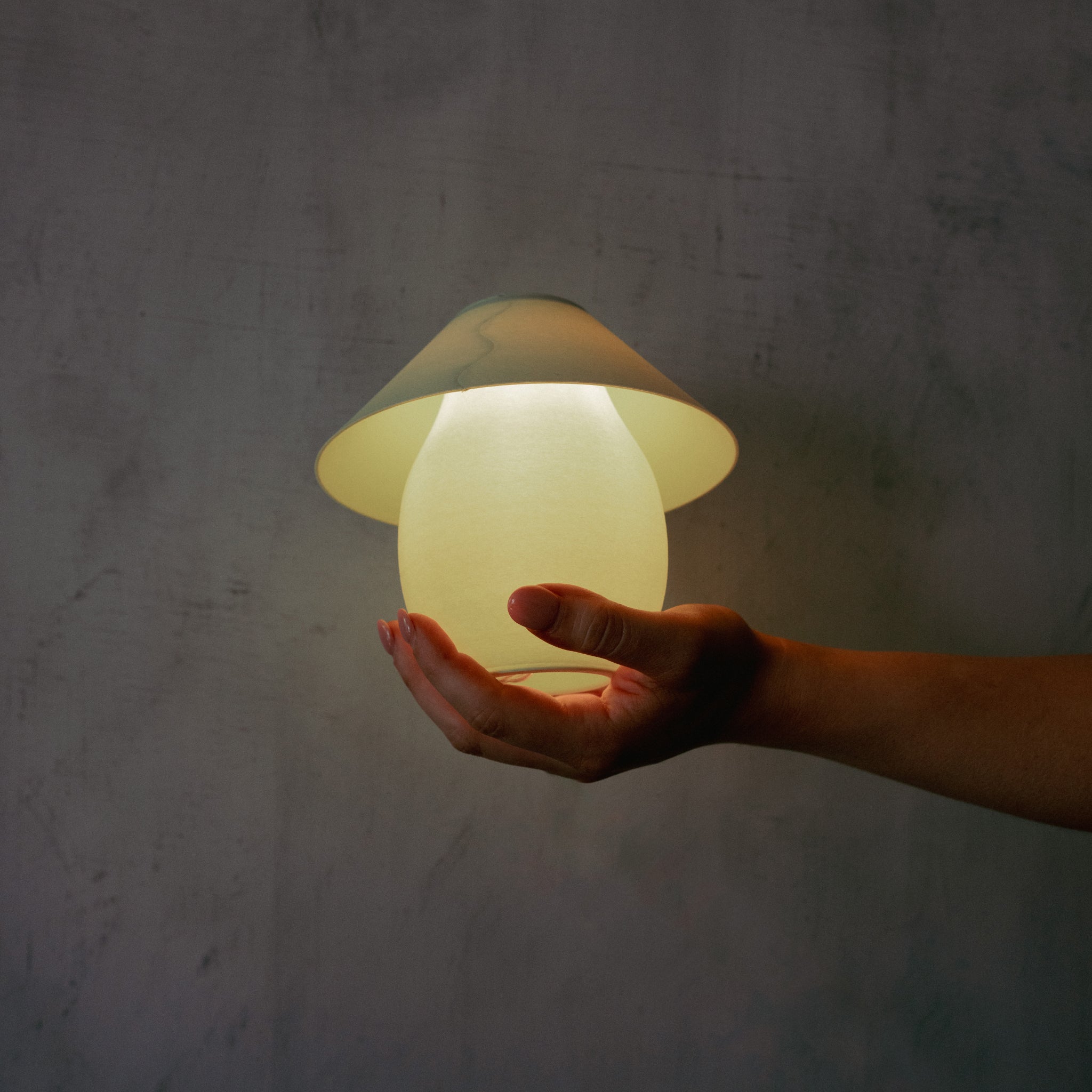 Scoop Lamp